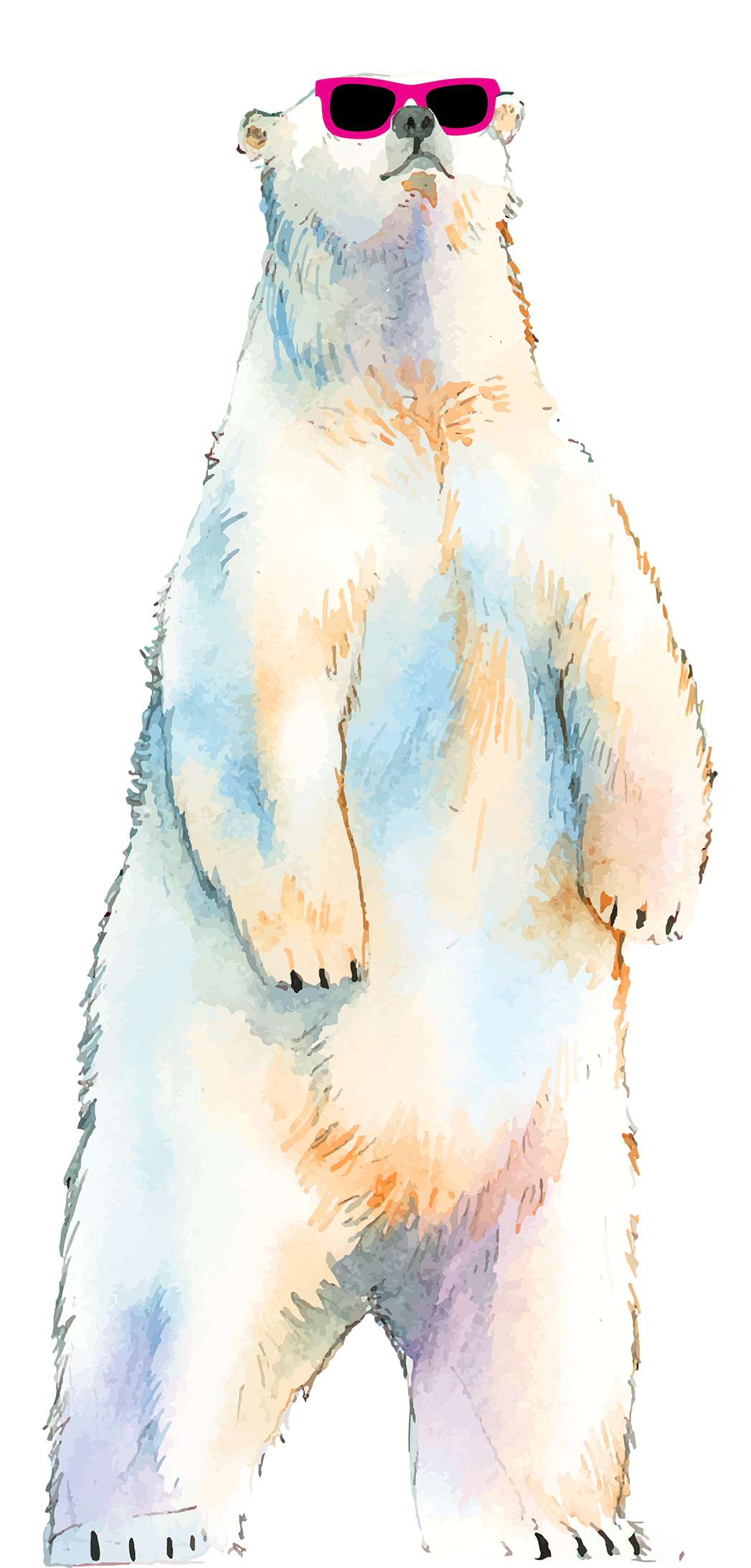 Pablo Polar Bear